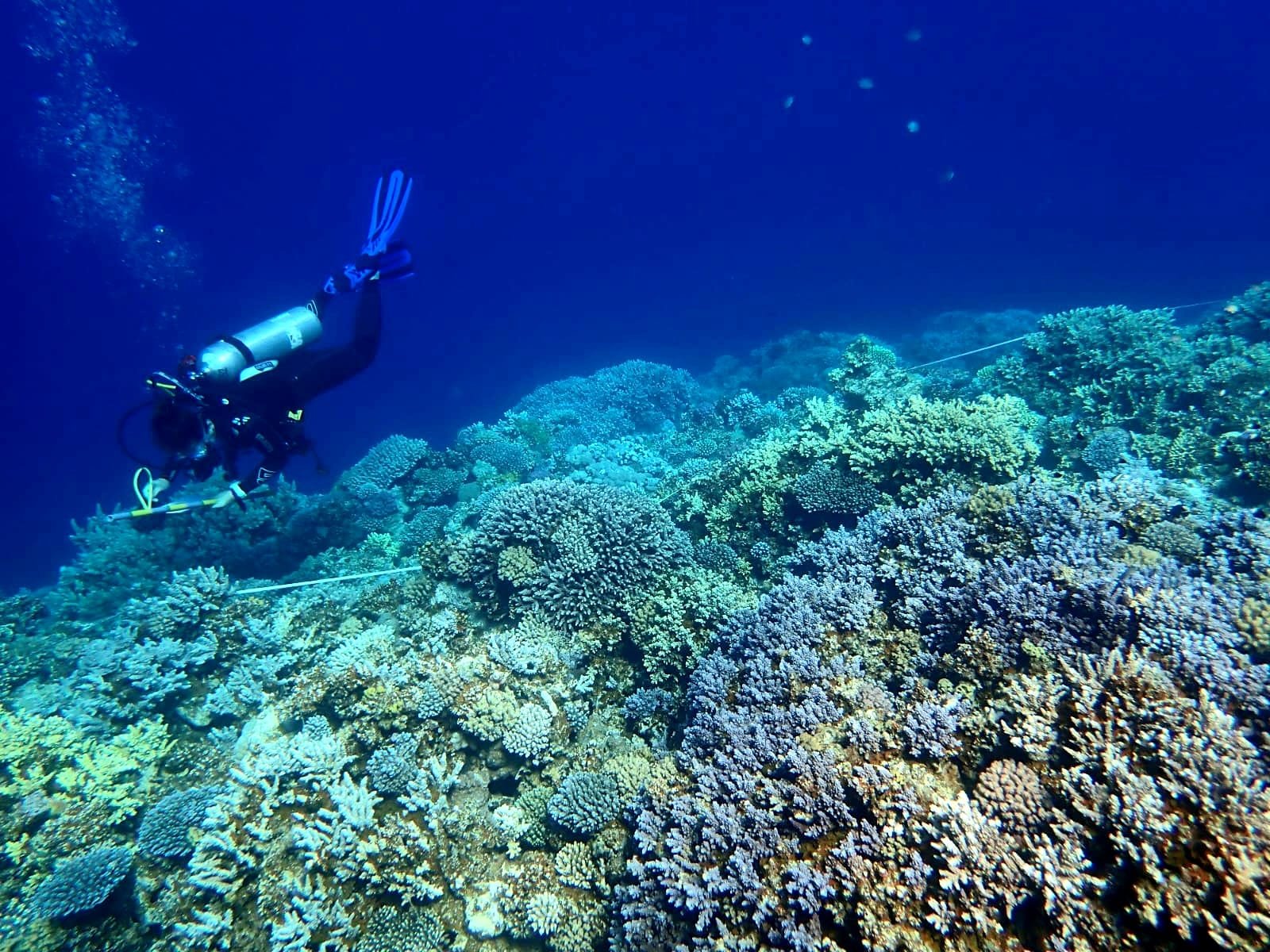 Services whatsapp image 2026 03 11 at 13.38.13